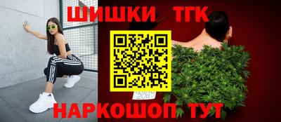 МДПВ Заводоуковск