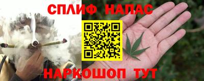 МДПВ Заводоуковск
