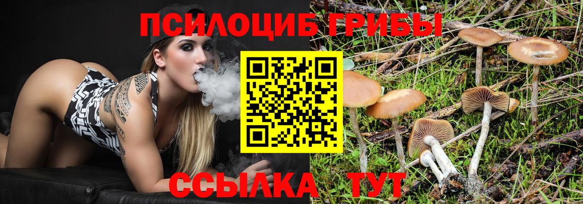 Черняховск  Галлюциногенные грибы ЛСД  что такое наркотик  Вход с VPN 